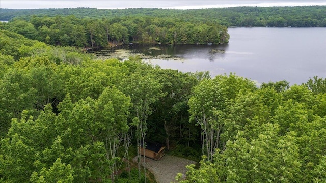 862 W Neck Rd, Nobleboro, ME 04555 - water view with a forest