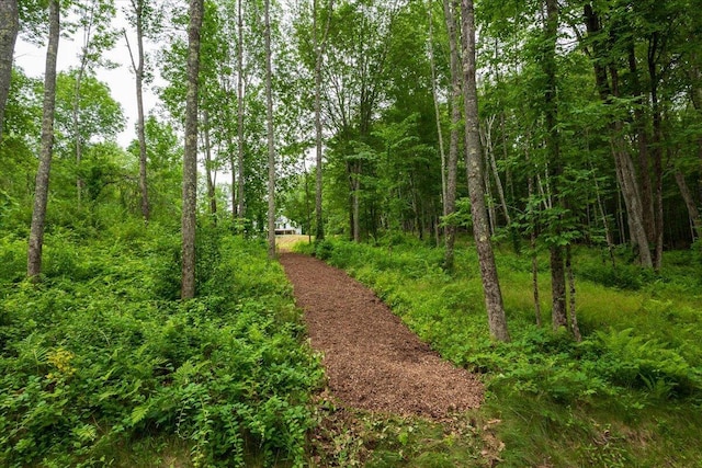 862 W Neck Rd, Nobleboro, ME 04555 - view of wooded area