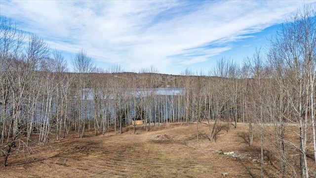 862 W Neck Rd, Nobleboro, ME 04555 - view of local wilderness