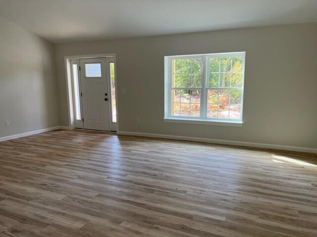 foyer featuring dark hardwood / wood-style flooring