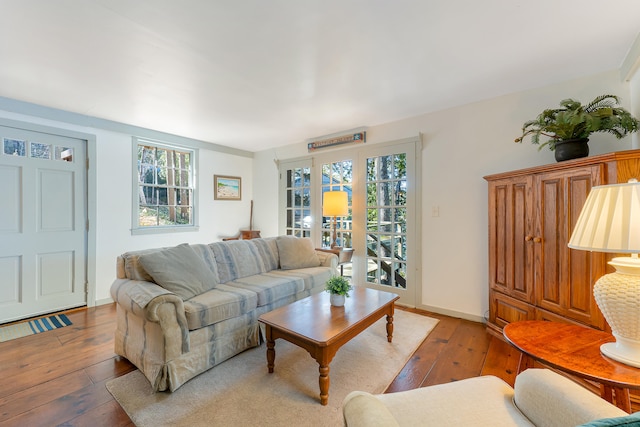 living room featuring wood-type flooring