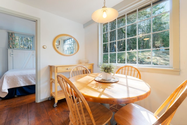 dining area featuring a healthy amount of sunlight and dark wood-type flooring