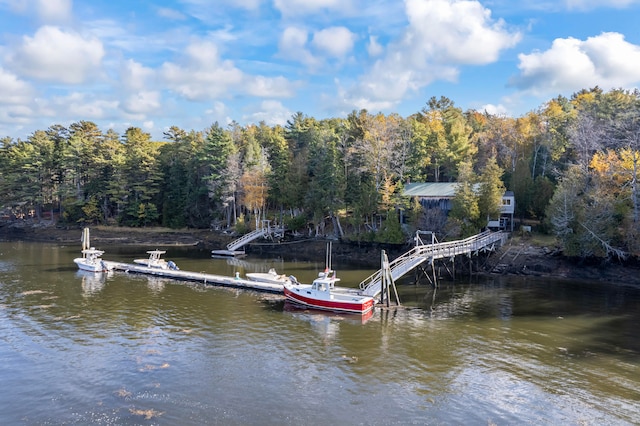 dock area with a water view