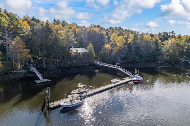 dock area with a water view