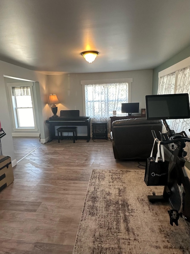 living room featuring a wealth of natural light and hardwood / wood-style flooring