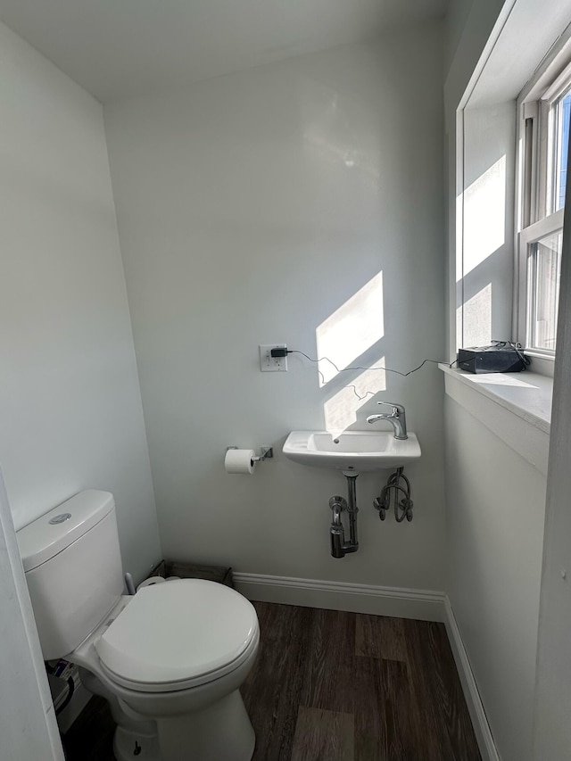 bathroom featuring toilet, wood-type flooring, and sink