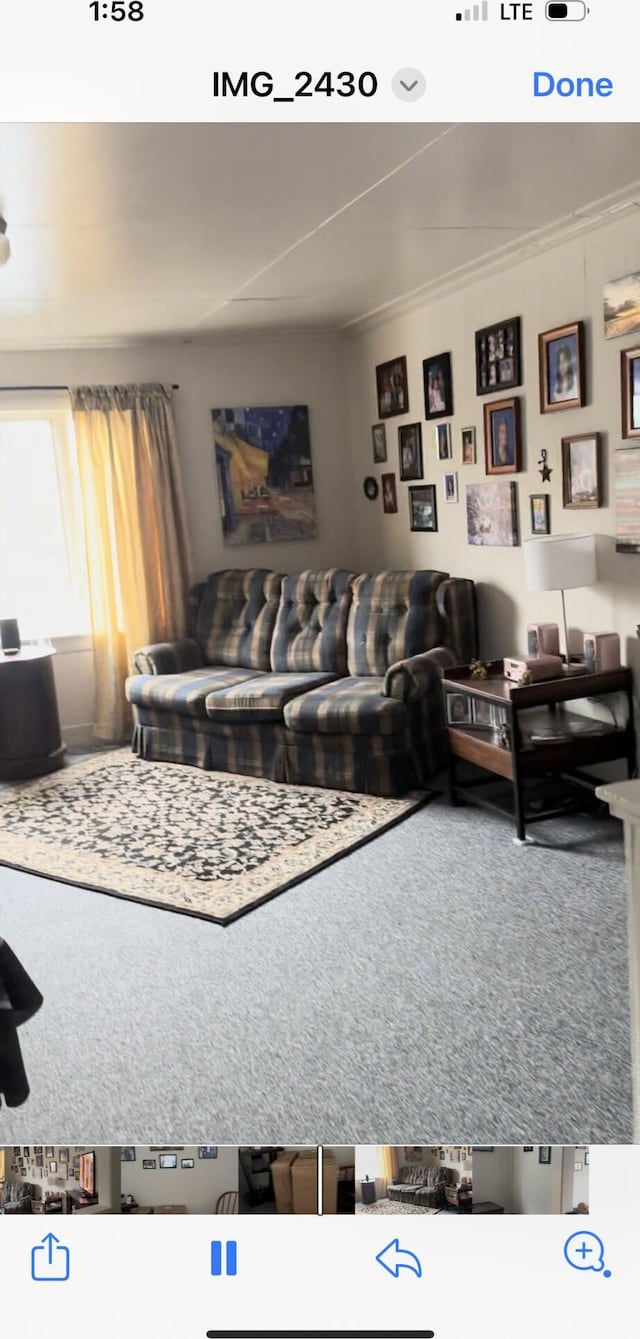 living room featuring carpet and ornamental molding