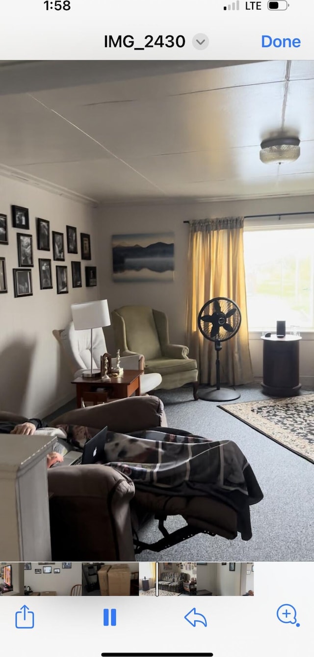 living room with carpet flooring