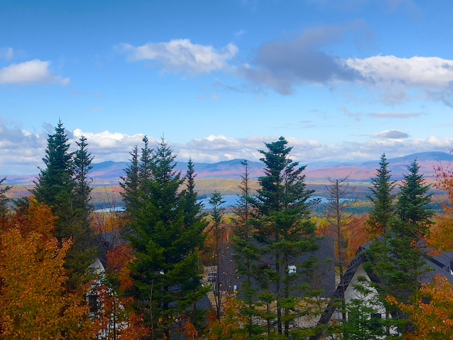 view of mountain feature