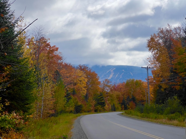 view of road featuring a forest view and a mountain view