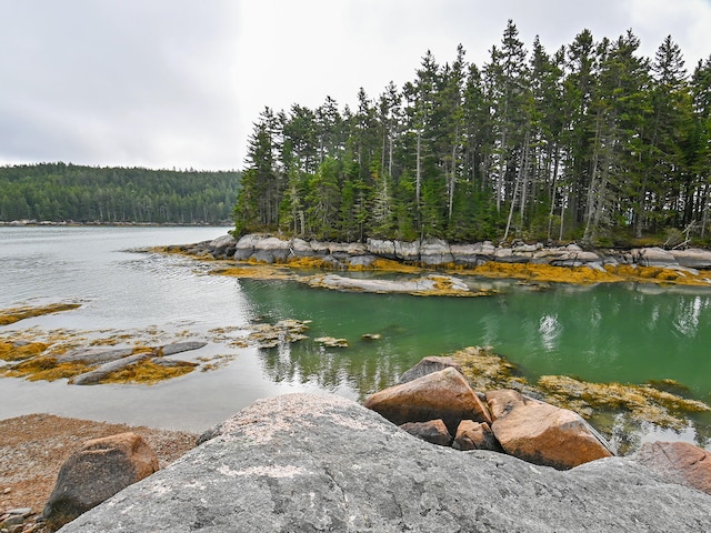 119 Island Retreat Rd, Swans Island, ME 04685 - photo 46