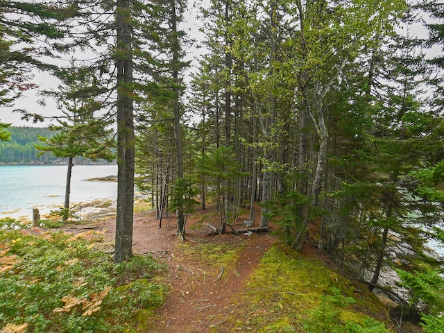 119 Island Retreat Rd, Swans Island, ME 04685 - photo 47