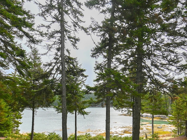 119 Island Retreat Rd, Swans Island, ME 04685 - photo 56