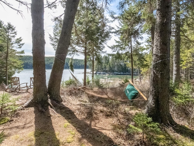 119 Island Retreat Rd, Swans Island, ME 04685 - photo 55