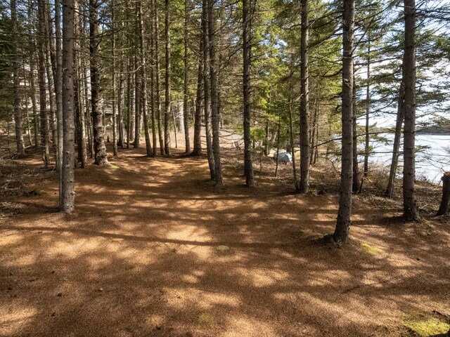119 Island Retreat Rd, Swans Island, ME 04685 - photo 45