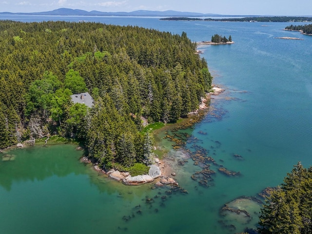 birds eye view of property featuring a water and mountain view