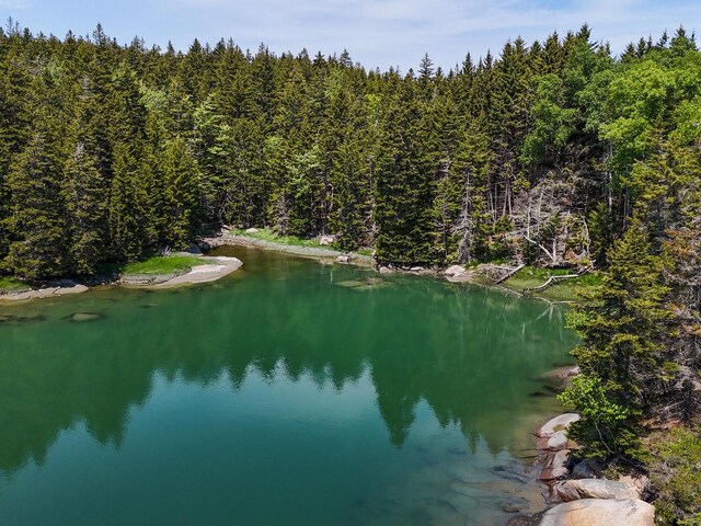 119 Island Retreat Rd, Swans Island, ME 04685 - photo 62