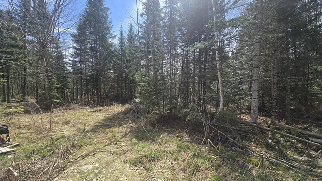 77 Currie Rd, Oakfield, ME 04780 - view of undeveloped land