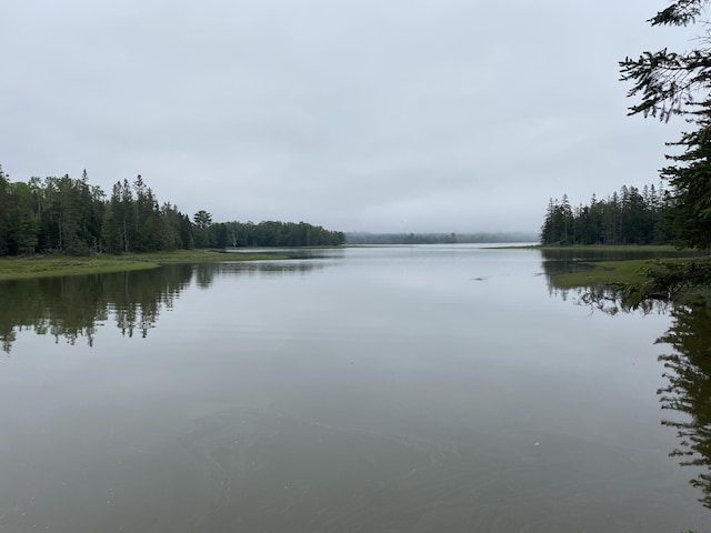 LOT2 Gouldsboro Point Rd, Gouldsboro, ME 04607 - photo 1