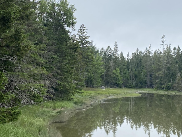 LOT2 Gouldsboro Point Rd, Gouldsboro, ME 04607 - photo 2