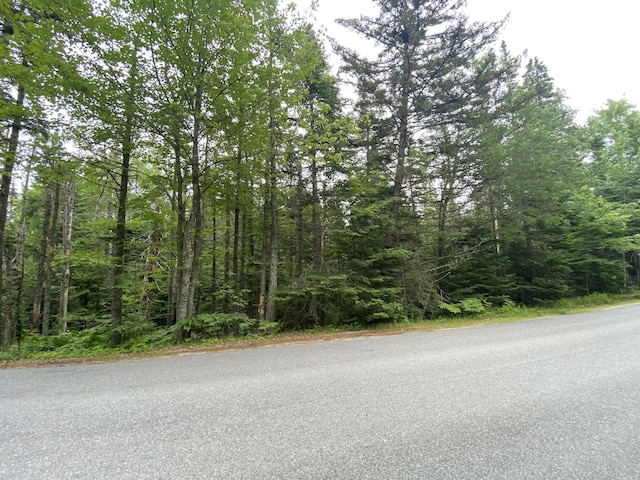 LOT2 Gouldsboro Point Rd, Gouldsboro, ME 04607 - photo 3