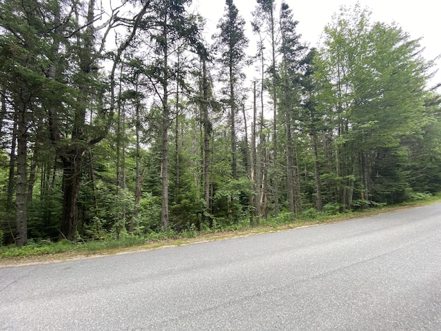 LOT2 Gouldsboro Point Rd, Gouldsboro, ME 04607 - photo 4