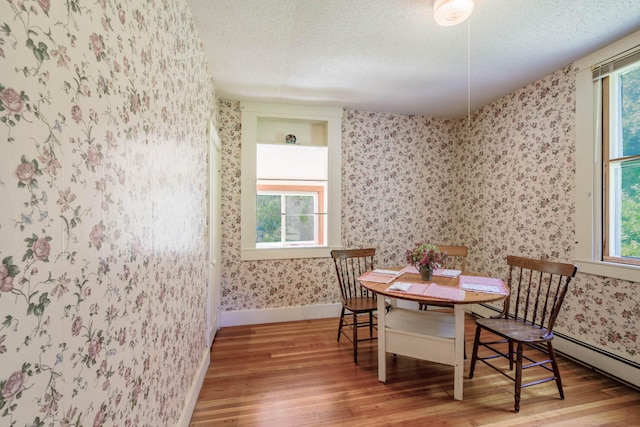 dining space featuring hardwood / wood-style flooring, a textured ceiling, and a wealth of natural light