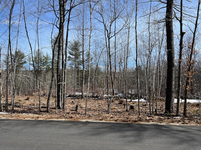 222 Butters Hill Rd, Stoneham, ME 04231 - photo 1