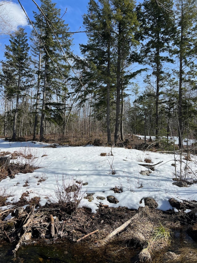 222 Butters Hill Rd, Stoneham, ME 04231 - photo 5