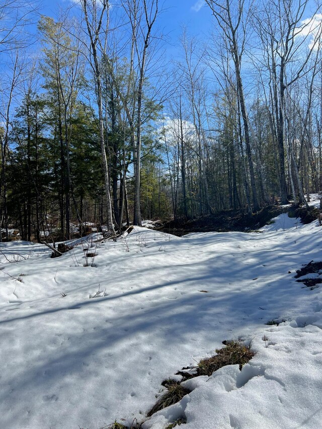 222 Butters Hill Rd, Stoneham, ME 04231 - photo 6