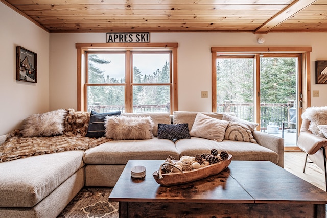 living area featuring wooden ceiling and wood finished floors