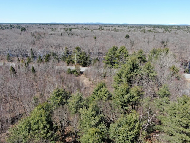 M11L3-4 Main Rd, Greenbush ME, 04418 land for sale