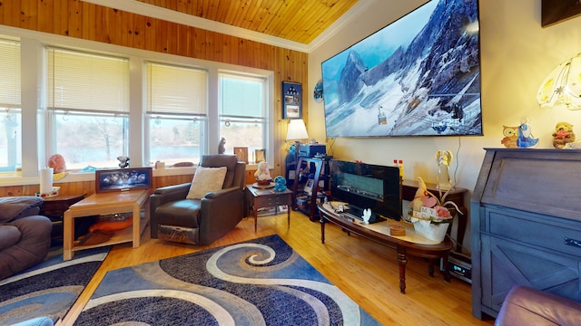 living room featuring plenty of natural light, crown molding, and light wood-type flooring