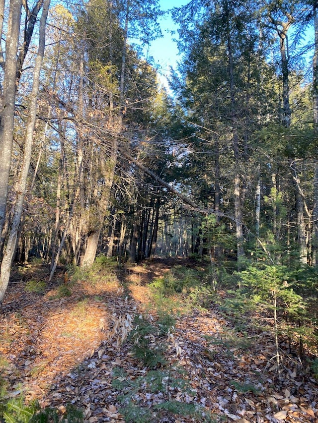 P/OM2L31 Walker Rd, Madison ME, 04950 land for sale