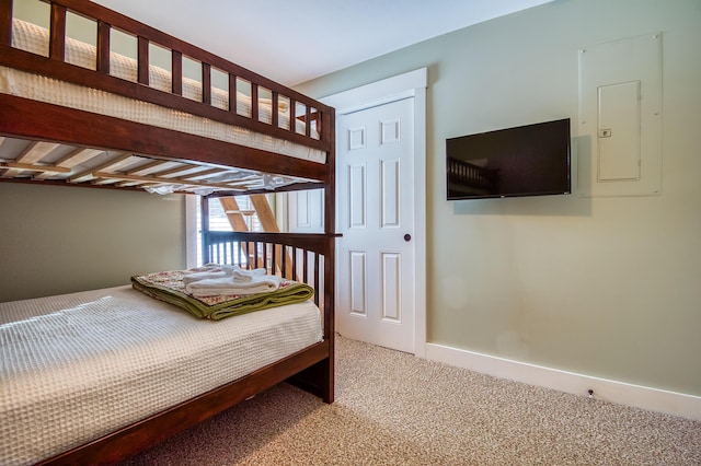 unfurnished bedroom featuring electric panel and carpet