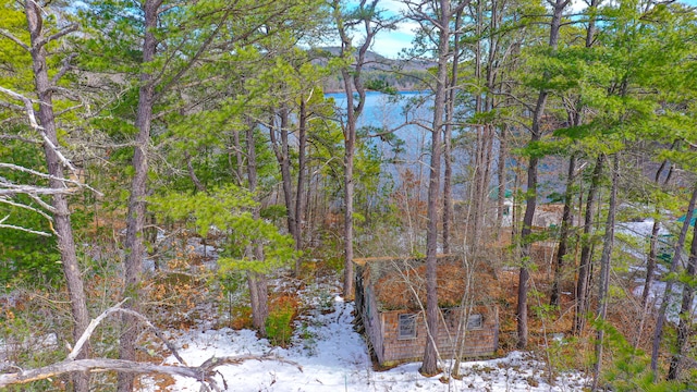 view of snow covered land