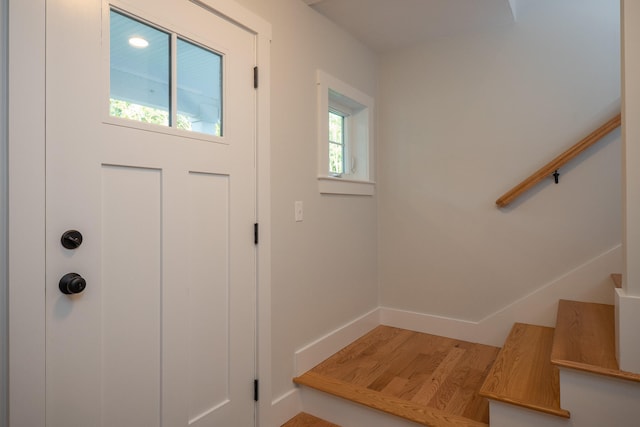 foyer entrance featuring a wealth of natural light