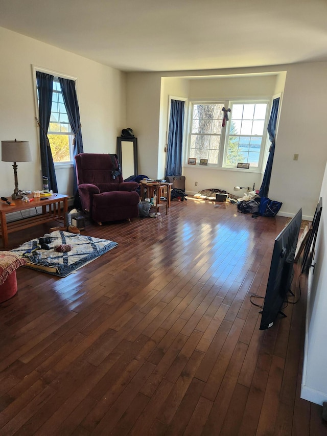 living room featuring dark hardwood / wood-style flooring