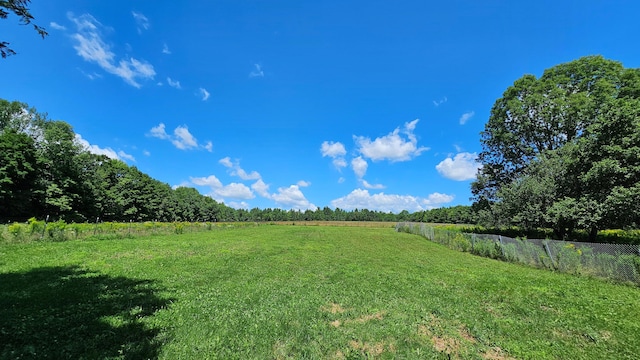 view of yard with a rural view