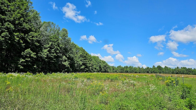 view of local wilderness with a rural view