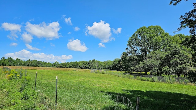 view of yard with a rural view