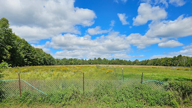 view of yard with a rural view