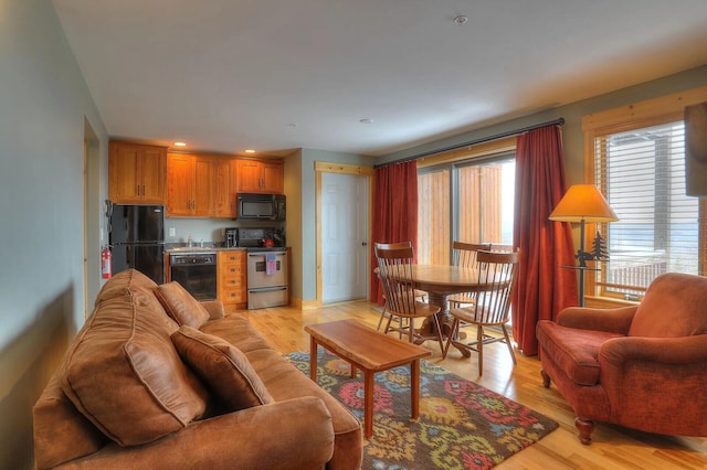 living room with light hardwood / wood-style flooring and sink