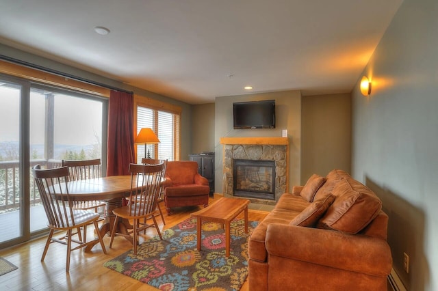 living room featuring a fireplace and light wood-type flooring