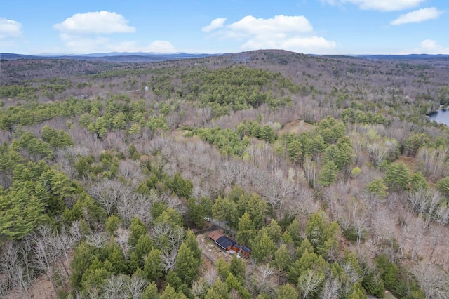 view of bird's eye view