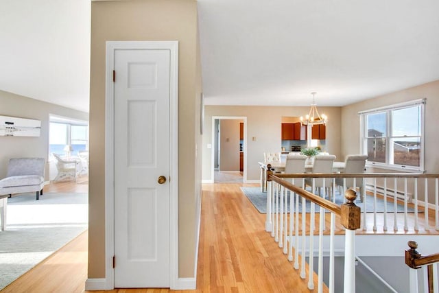 hallway featuring a baseboard radiator, light hardwood / wood-style flooring, an inviting chandelier, and a healthy amount of sunlight