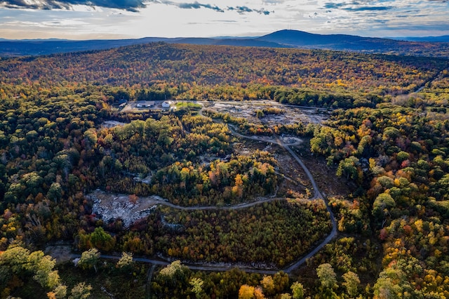 drone / aerial view featuring a mountain view