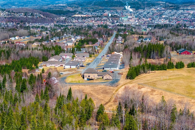 bird's eye view