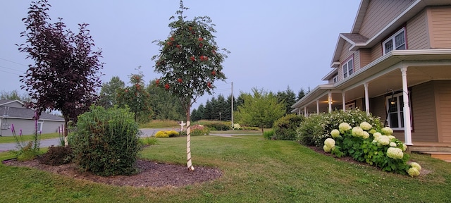 149 Bellevue St, Madawaska, ME 04756 - view of grassy yard featuring a porch