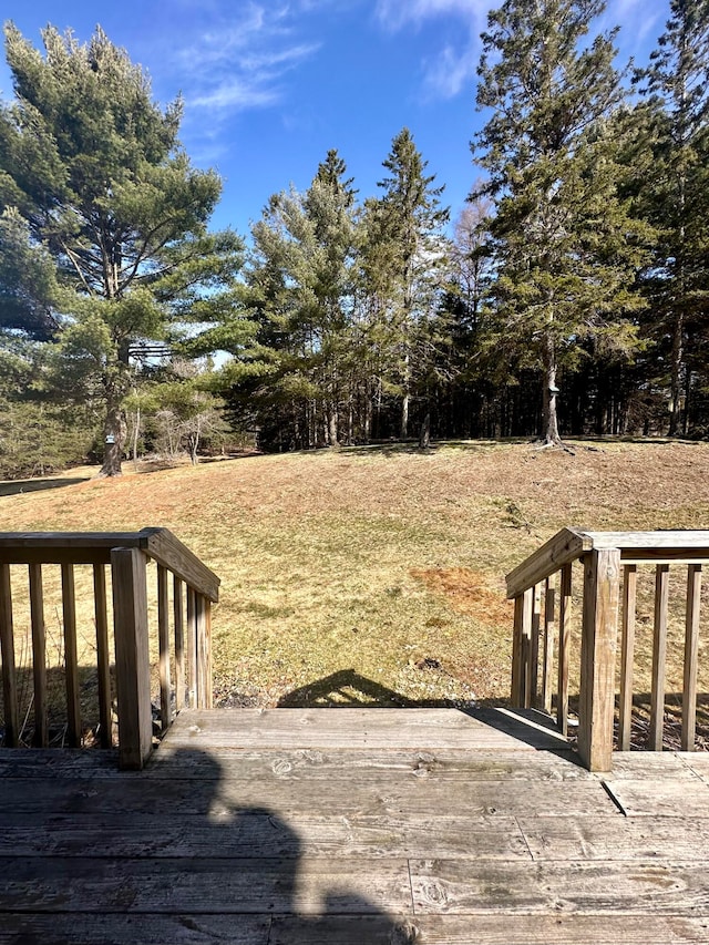 view of yard featuring a wooden deck